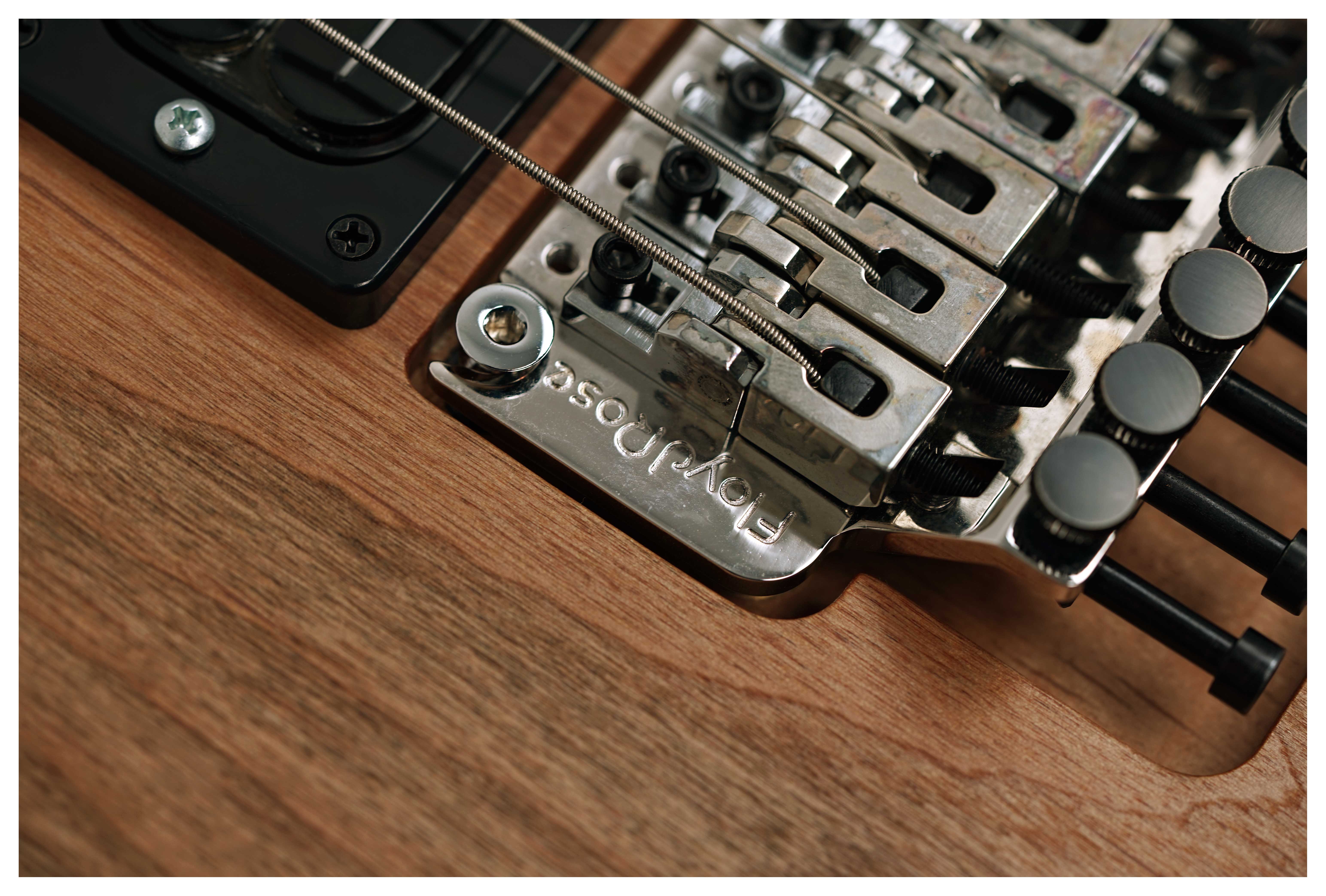 Washburn 4N Nuno Bettencourt Signature #2510012