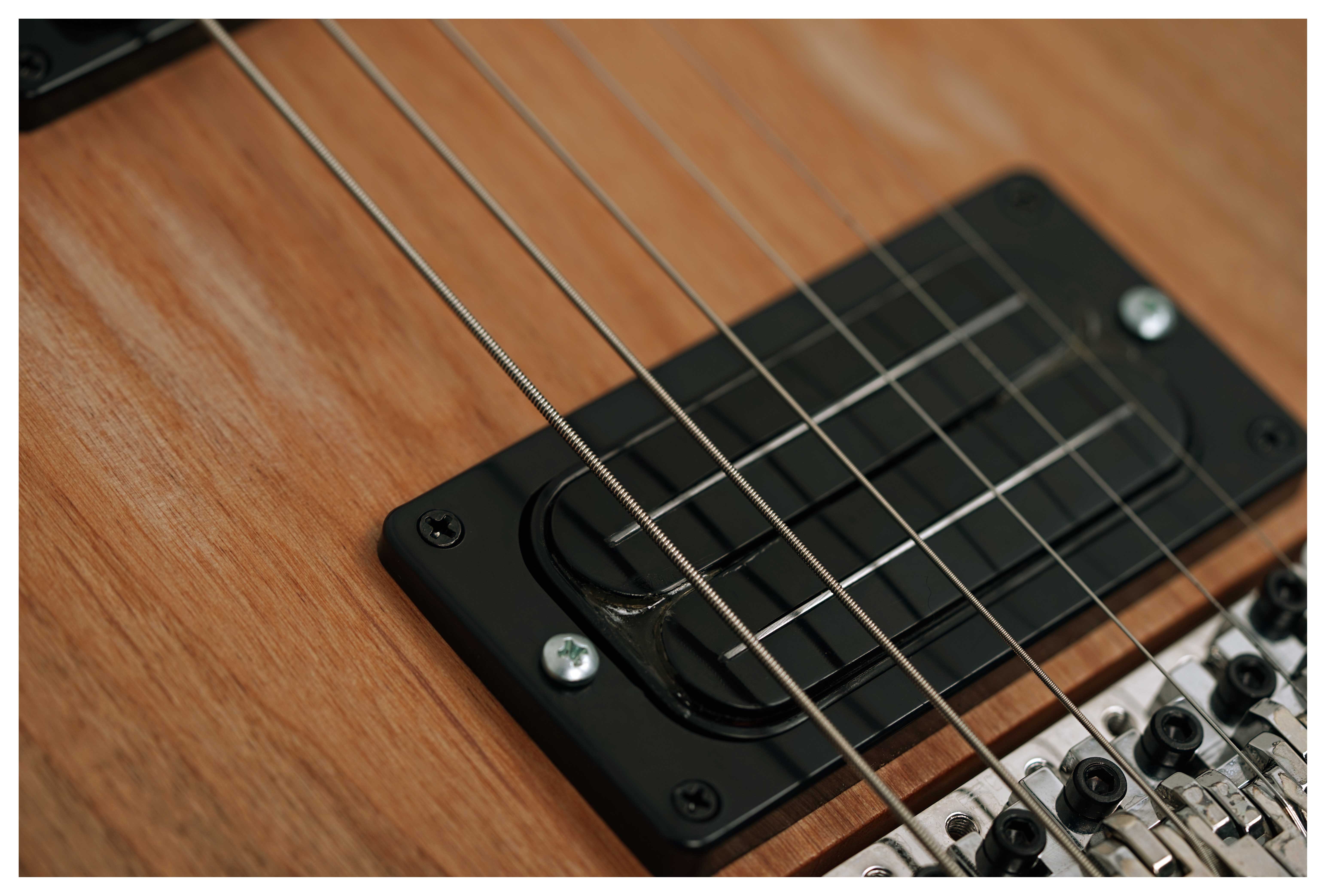 Washburn 4N Nuno Bettencourt Signature #2510012