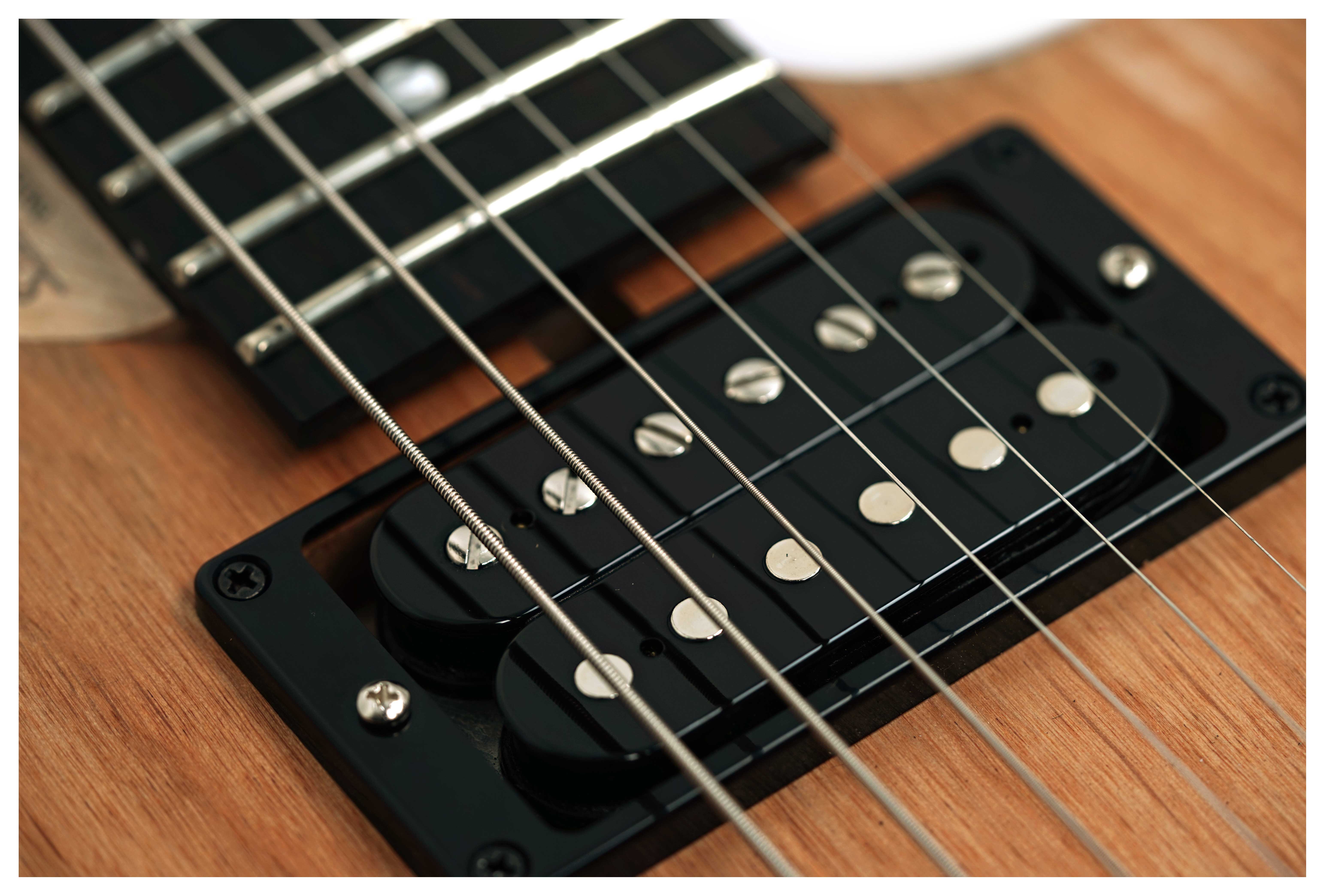 Washburn 4N Nuno Bettencourt Signature #2510012