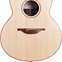 Lowden F-35 Indian Rosewood Sitka Spruce #25316 