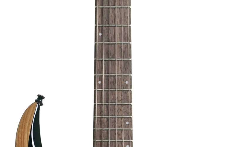 Ibanez Axion Label RGD61ALA Midnight Tropical Rainforest (Ex-Demo) #1P01I230311960 Ibanez Axion Label RGD61ALA Midnight Tropical Rainforest (Ex-Demo) #1P01I230311960