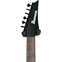 Ibanez Axion Label RGD61ALA Midnight Tropical Rainforest (Ex-Demo) #1P01I230311960