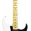 Fender Custom Shop Limited Edition Poblano II Stratocaster Relic Aged Olympic White #CZ551673 