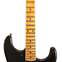 Fender Custom Shop Limited Edition Poblano II Stratocaster Relic Aged Black #CZ552757 