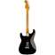 Fender Custom Shop Limited Edition Poblano II Stratocaster Relic Aged Black Back View