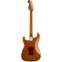 Fender Custom Shop Artisan Stratocaster Thinline Roasted Ash Body AAAA Figured Koa Top Back View