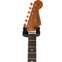 Fender Custom Shop Artisan Stratocaster Thinline Roasted Ash Body Spalted Maple Top #CZ553619 
