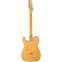 Fender Custom Shop 1969 Telecaster Thinline Journeyman Relic Aged Natural Back View