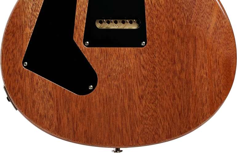 PRS Custom 24-08 Eriza Verde Pattern Thin #0363603 PRS Custom 24-08 Eriza Verde Pattern Thin #0363603