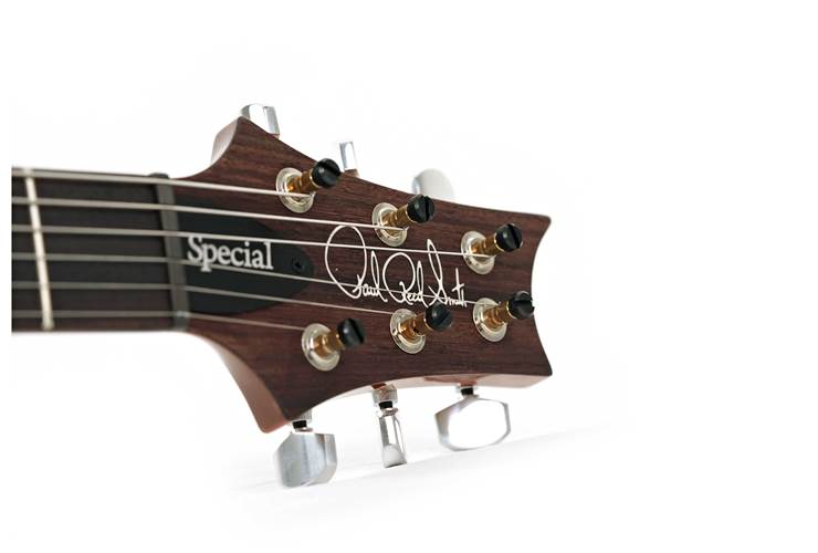 PRS Special Semi Hollow Eriza Verde  #0354513 PRS Special Semi Hollow Eriza Verde  #0354513