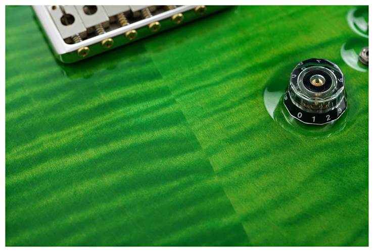 PRS Special Semi Hollow Eriza Verde  #0354513 PRS Special Semi Hollow Eriza Verde  #0354513