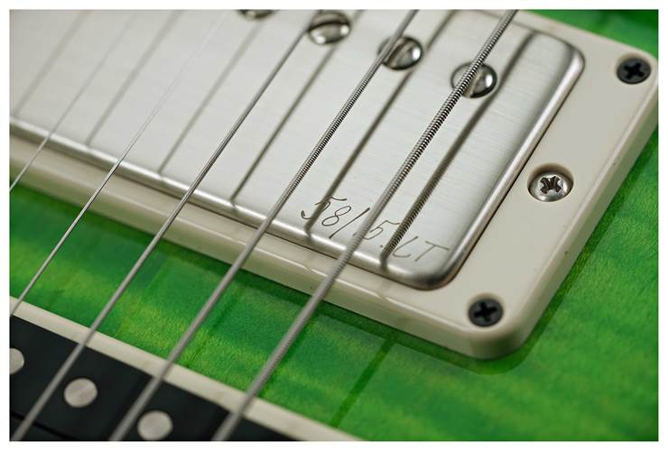 PRS Special Semi Hollow Eriza Verde  #0354513 PRS Special Semi Hollow Eriza Verde  #0354513