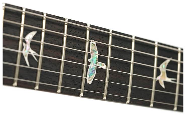PRS Special Semi Hollow Eriza Verde #0371411 PRS Special Semi Hollow Eriza Verde #0371411