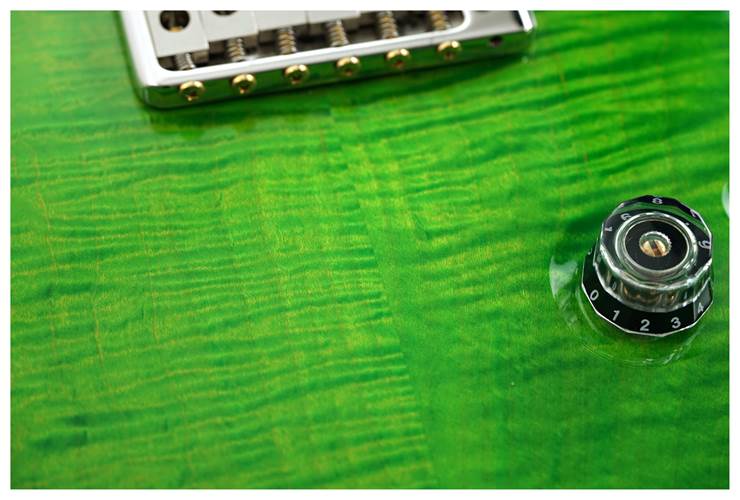 PRS Special Semi Hollow Eriza Verde #0371411 PRS Special Semi Hollow Eriza Verde #0371411