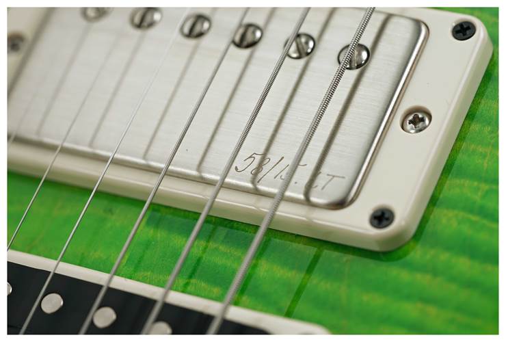 PRS Special Semi Hollow Eriza Verde #0371411 PRS Special Semi Hollow Eriza Verde #0371411