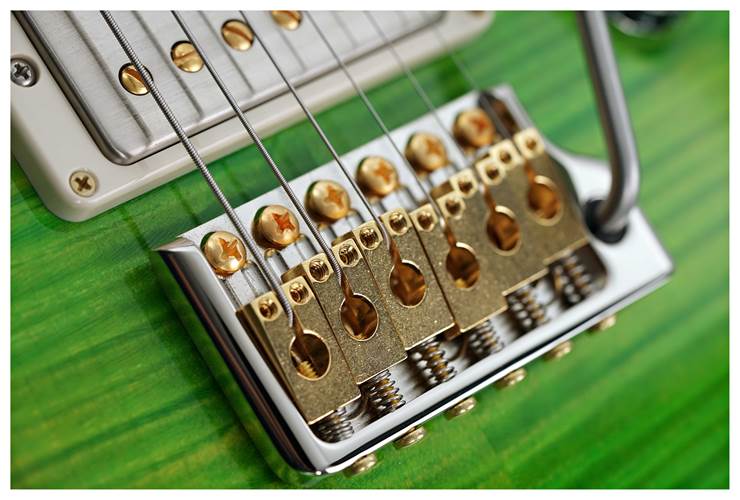 PRS Special Semi Hollow Eriza Verde 10 Top #0376048 PRS Special Semi Hollow Eriza Verde 10 Top #0376048