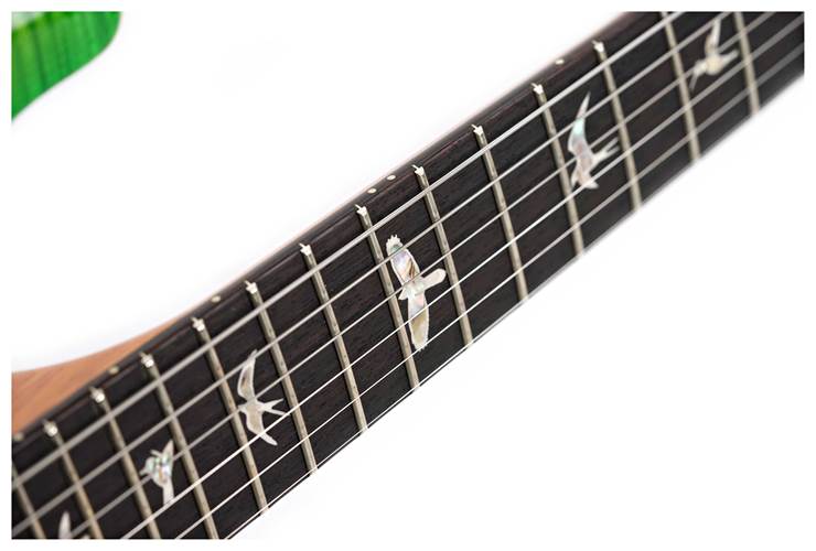 PRS Special Semi Hollow Eriza Verde 10 Top #0376048 PRS Special Semi Hollow Eriza Verde 10 Top #0376048