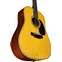 Martin D-35 David Gilmour 12 String Signed Front View