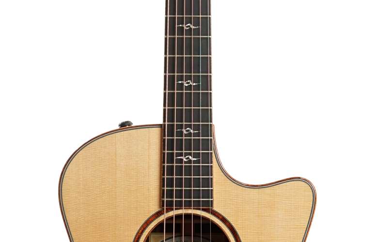 Taylor Custom Grand Symphony Engelmann Spruce Macassar #1105085144 Taylor Custom Grand Symphony Engelmann Spruce Macassar #1105085144