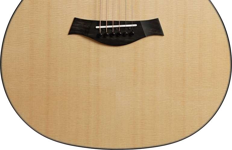 Taylor Custom Grand Auditorium Lutz Spruce AA Indian Rosewood #1109059095 Taylor Custom Grand Auditorium Lutz Spruce AA Indian Rosewood #1109059095
