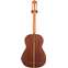 Cordoba Luthier Select Esteso SP Spruce Back View