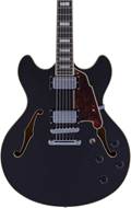 D'Angelico Premier DC Stopbar Black Flake