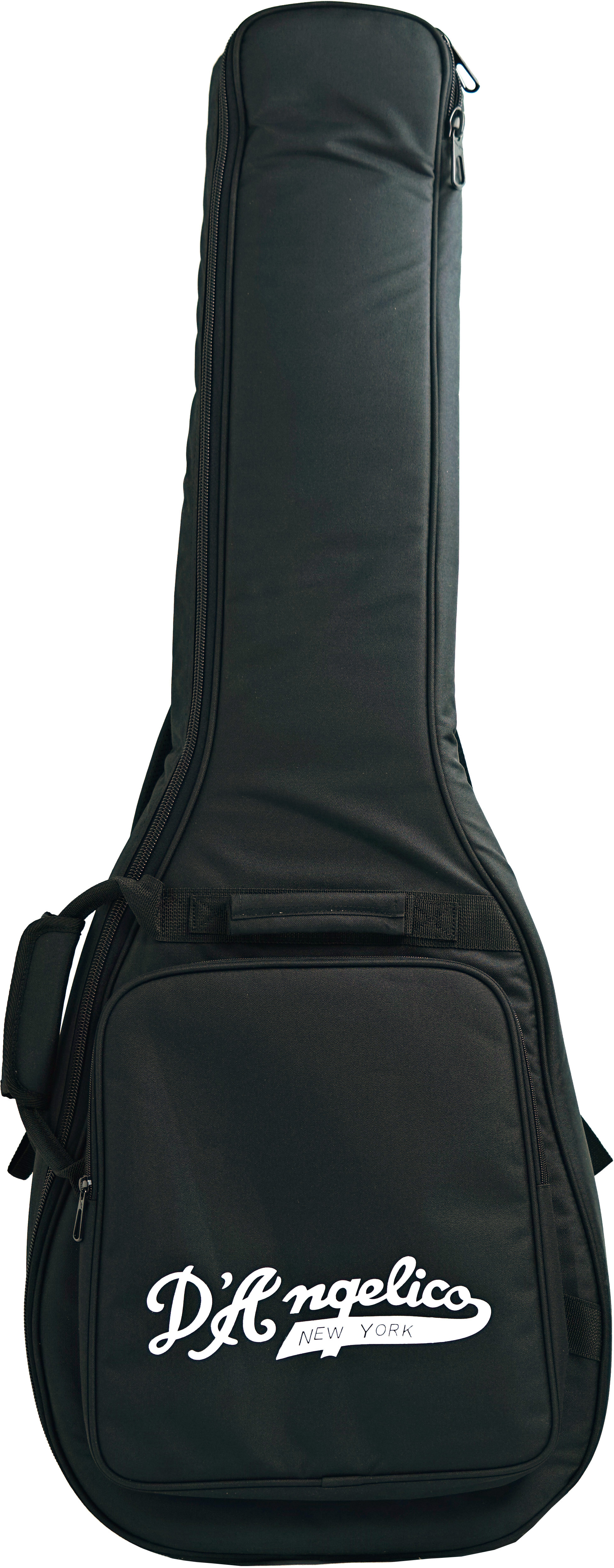 D'Angelico Premier Bedford Semi Hollow Black Flake (Ex-Demo) #KP225749