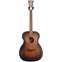 D'Angelico Premier Tammany Aged Mahogany (Ex-Demo) #020120103 Front View