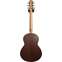 Sheeran by Lowden W-02 Sitka Spruce Top Indian Rosewood Back and Sides Back View