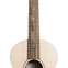 Sheeran by Lowden W-02 Sitka Spruce Top Indian Rosewood Back and Sides 