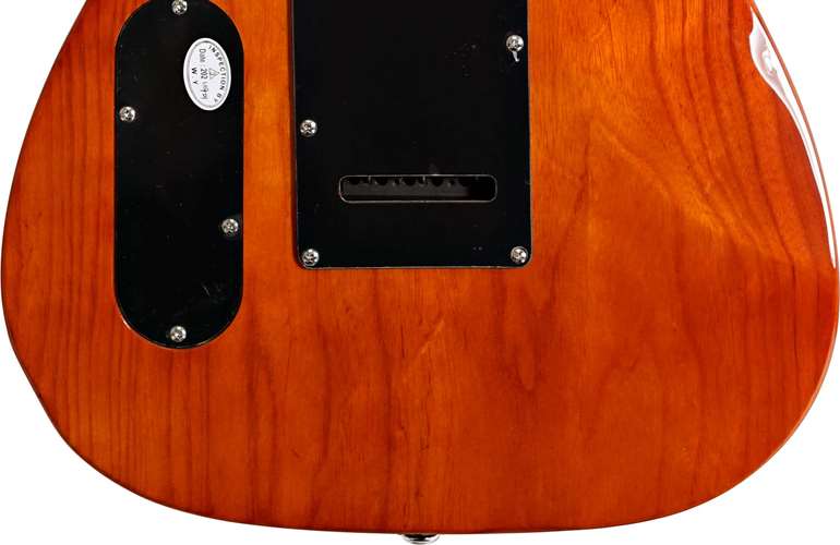 Schecter PT Van Nuys Gloss Natural Ash Schecter PT Van Nuys Gloss Natural Ash