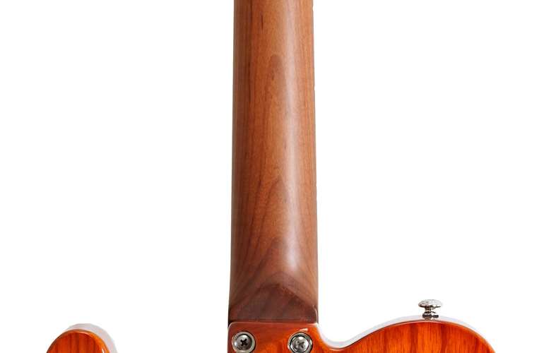 Schecter PT Van Nuys Gloss Natural Ash Schecter PT Van Nuys Gloss Natural Ash