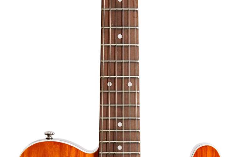 Schecter PT Van Nuys Gloss Natural Ash Schecter PT Van Nuys Gloss Natural Ash