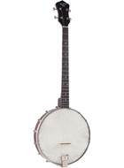 Recording King Dirty 30s RKT-05 Tenor Banjo