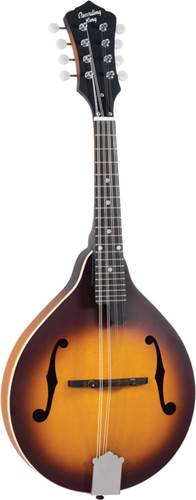 Recording King A-Model RAM-3-TS Mandolin Recording King A-Model RAM-3-TS Mandolin