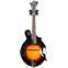 The Loar LM-520 Performer F Style Mandolin Vintage Gloss Sunburst (Ex-Demo) #A2008307 Front View