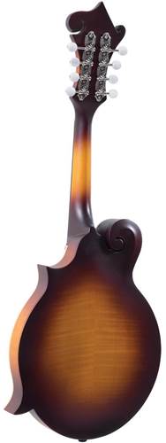 The Loar LM-590 Contemporary F Style Mandolin Matte Sunburst The Loar LM-590 Contemporary F Style Mandolin Matte Sunburst