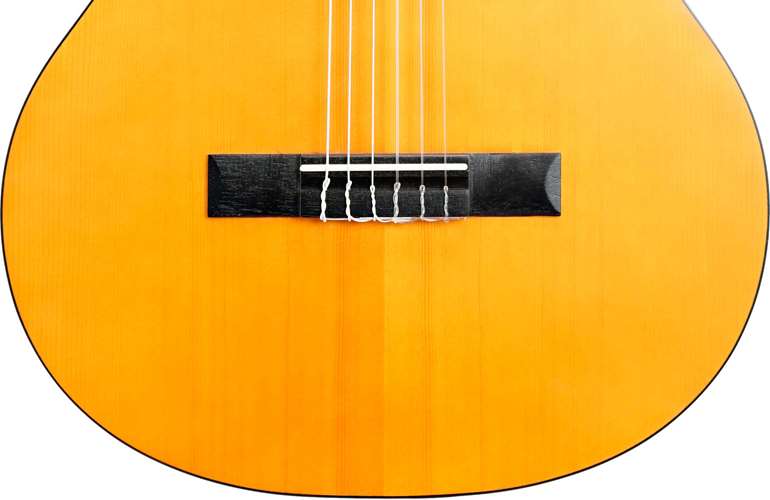 FEATURES  nylon strings
