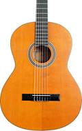 EastCoast C1S-44 Full Size Classical Solid Top Satin Natural