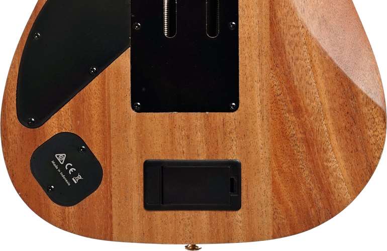 Ibanez Premium RG6PKAG Natural Flat Ibanez Premium RG6PKAG Natural Flat