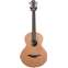 Lowden S22 12 Fret Red Cedar / Mahogany #24491 Front View