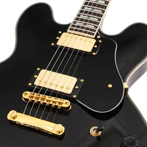 EastCoast G35 Semi-Hollow Black Rosewood Fingerboard EastCoast G35 Semi-Hollow Black Rosewood Fingerboard