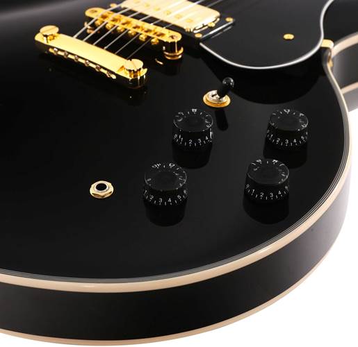 EastCoast G35 Semi-Hollow Black Rosewood Fingerboard EastCoast G35 Semi-Hollow Black Rosewood Fingerboard
