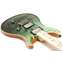 PRS Wood Library Custom 24 10 Top Trampas Green Fade Back View