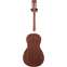 Ozark 3519 Parlour Resonator Mahogany Back View