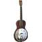 Ozark 3519 Parlour Resonator Mahogany Front View