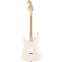 Squier Affinity Stratocaster Olympic White Maple Fingerboard Back View