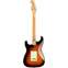 Fender Player Plus Stratocaster 3 Tone Sunburst Maple Fingerboard Back View