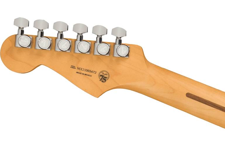 Fender Player Plus Stratocaster Aged Candy Apple Red Pau Ferro Fingerboard Fender Player Plus Stratocaster Aged Candy Apple Red Pau Ferro Fingerboard