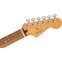 Fender Player Plus Stratocaster Opal Spark Pau Ferro Fingerboard Front View